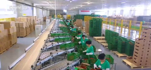 長沙軟件開發在推動農業適度規模經營與促進小農戶融入現代農業中的作用